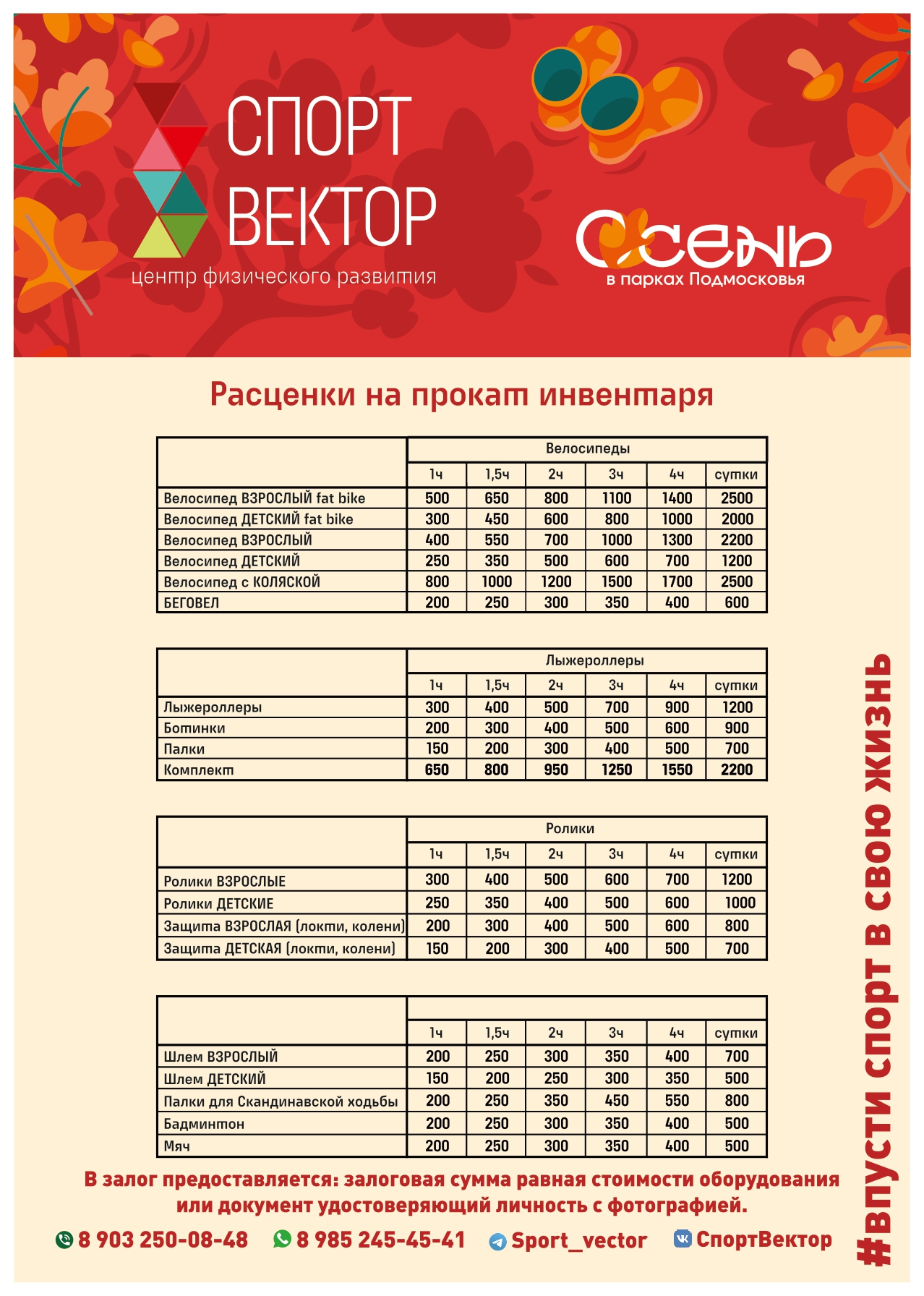 спортвектор прокат