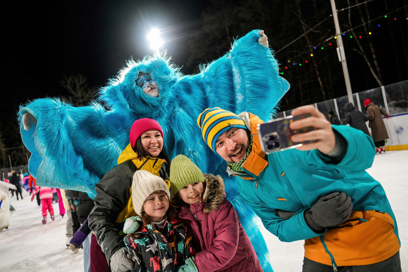 Новый год под шубой