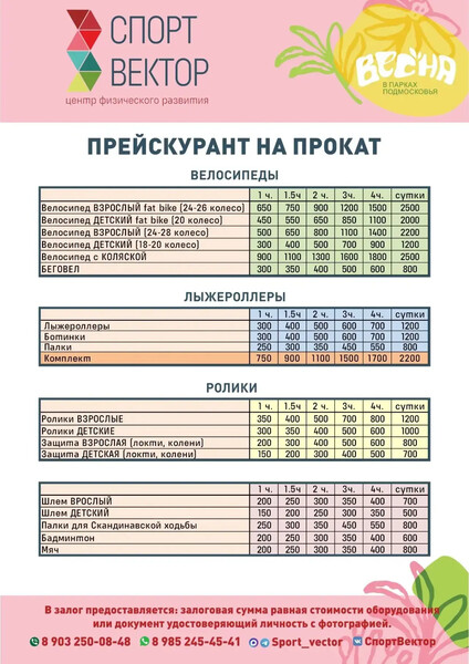 СпортВектор