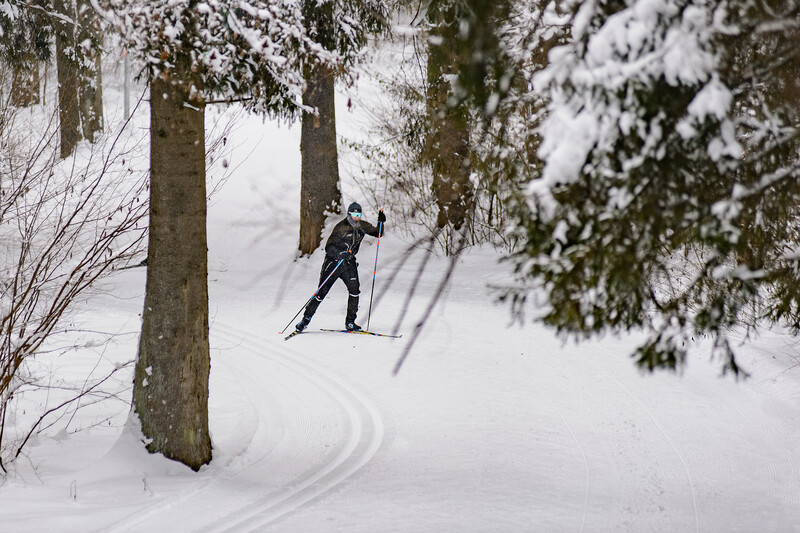 Лыжероллерная трасса