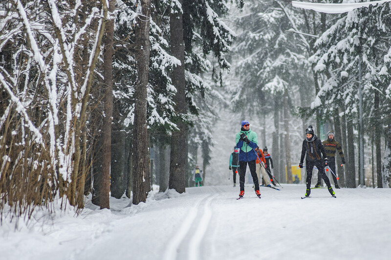 Лыжероллерная трасса