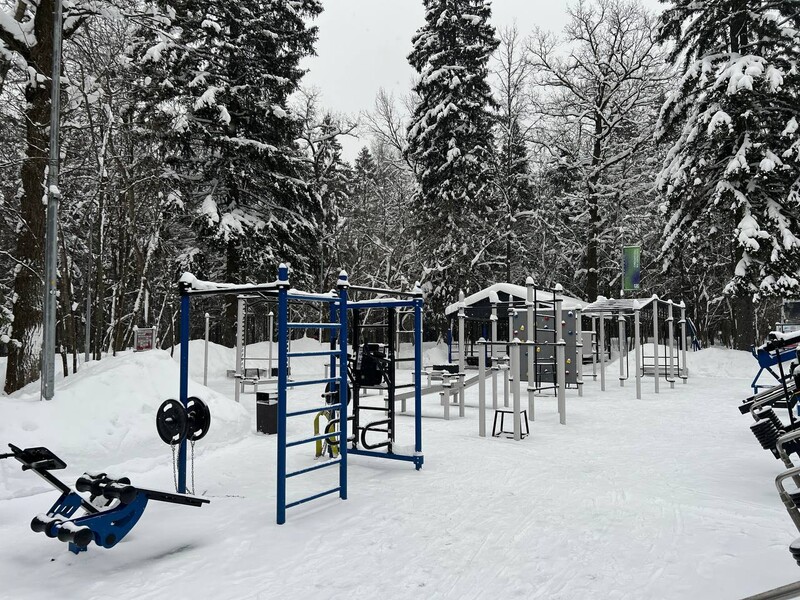 Воркаут площадка