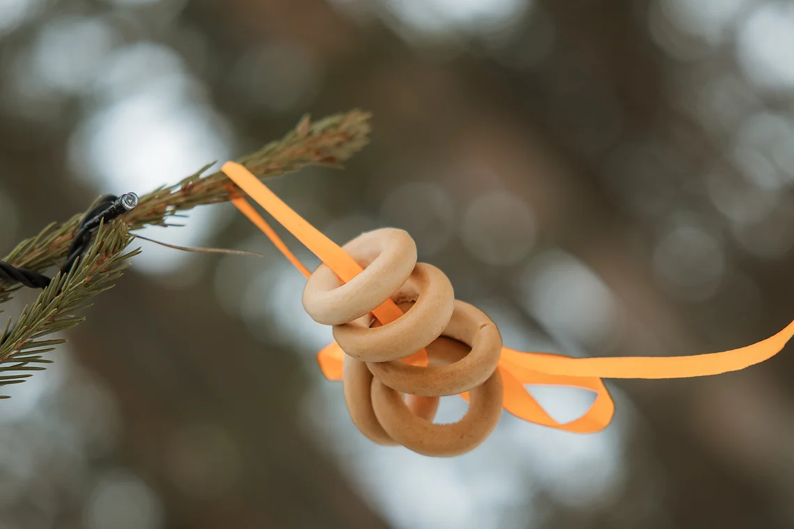 Солнечная Масленица