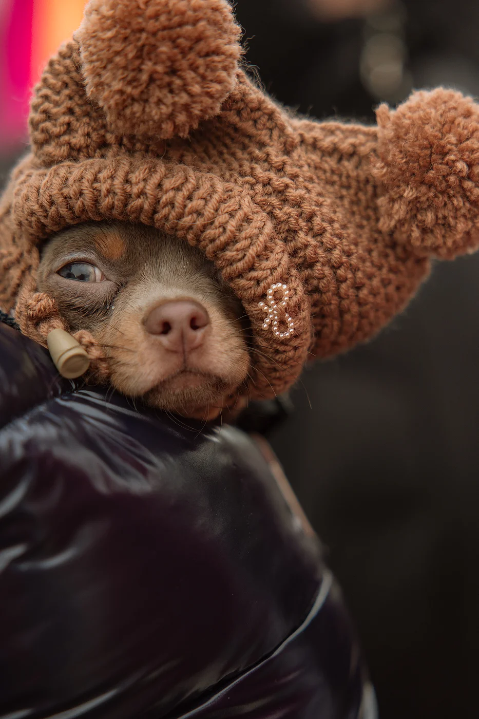 Солнечная Масленица